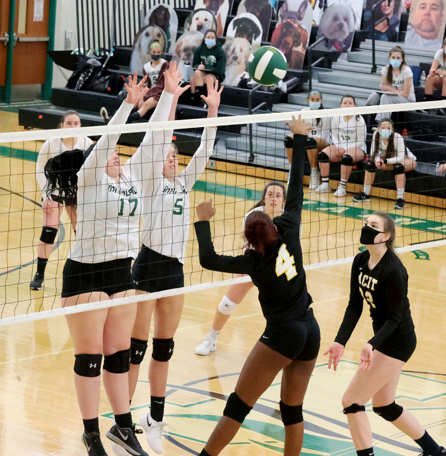 Mainland vs ACIT volleyball